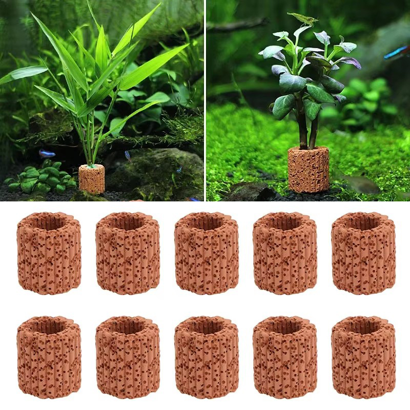 Aquarium Plant Rings - 20 Chiếc Thủy Sinh Nước Nhẫn