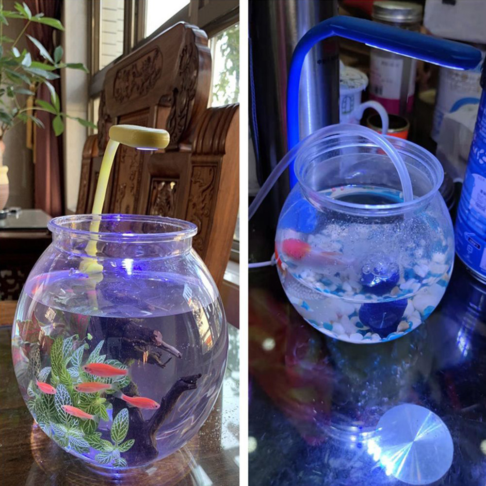 Planted Aquarium Bowl - Creative Small Fish Tank Round Transparent