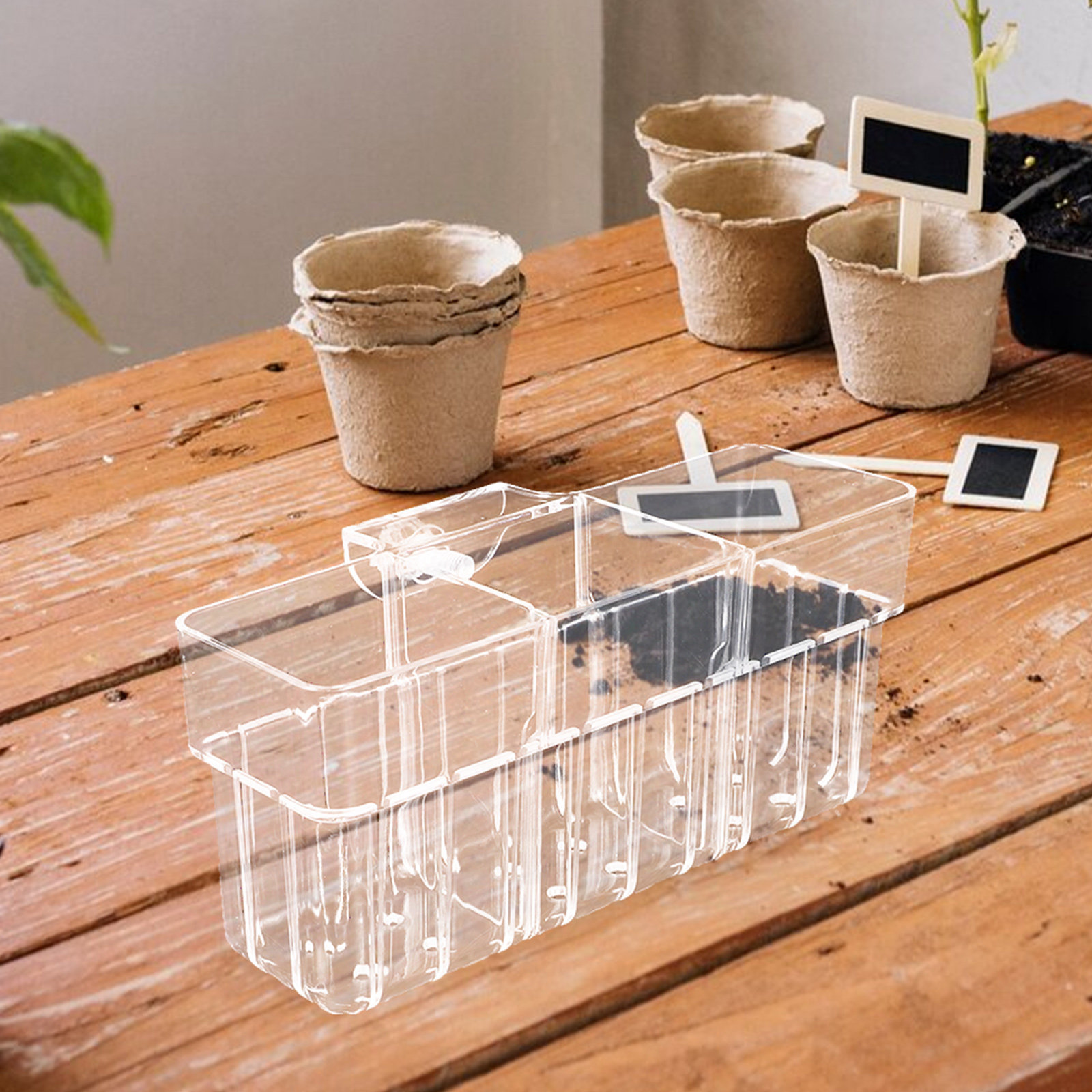 Planted Aquarium Bowl - Three Compartment Clear Hydroponic Aquarium Plant