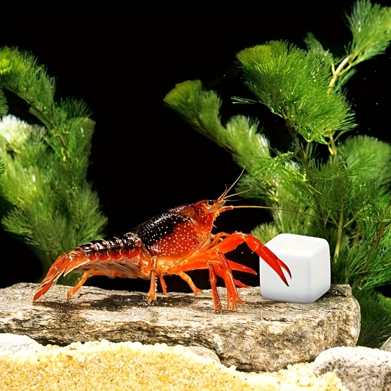 Aquasoil Substrate - 6 Pcs Fish Tank Calcium Block