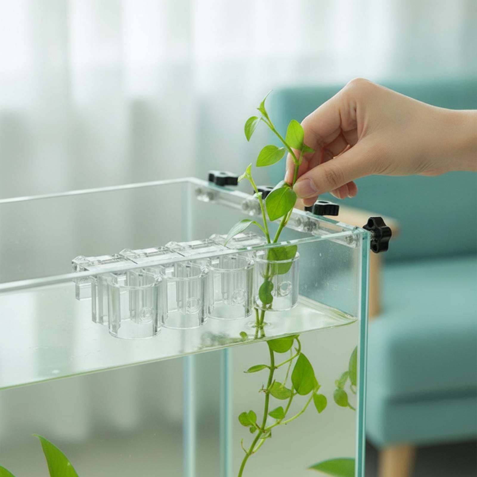 6 Pieces Aquarium Planter Clea - đánh giá và giá Aquarium Plant Original