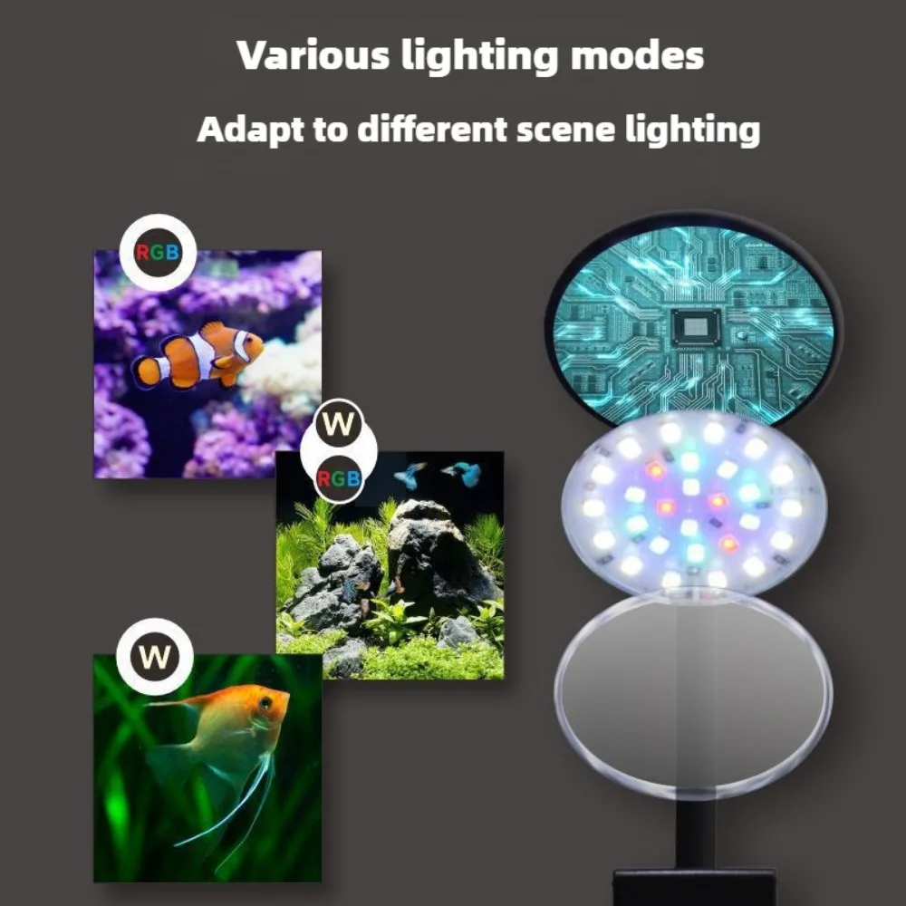 Clip on LED Aquarium Light Dim - đánh giá và giá Planted Aquarium Freshwater