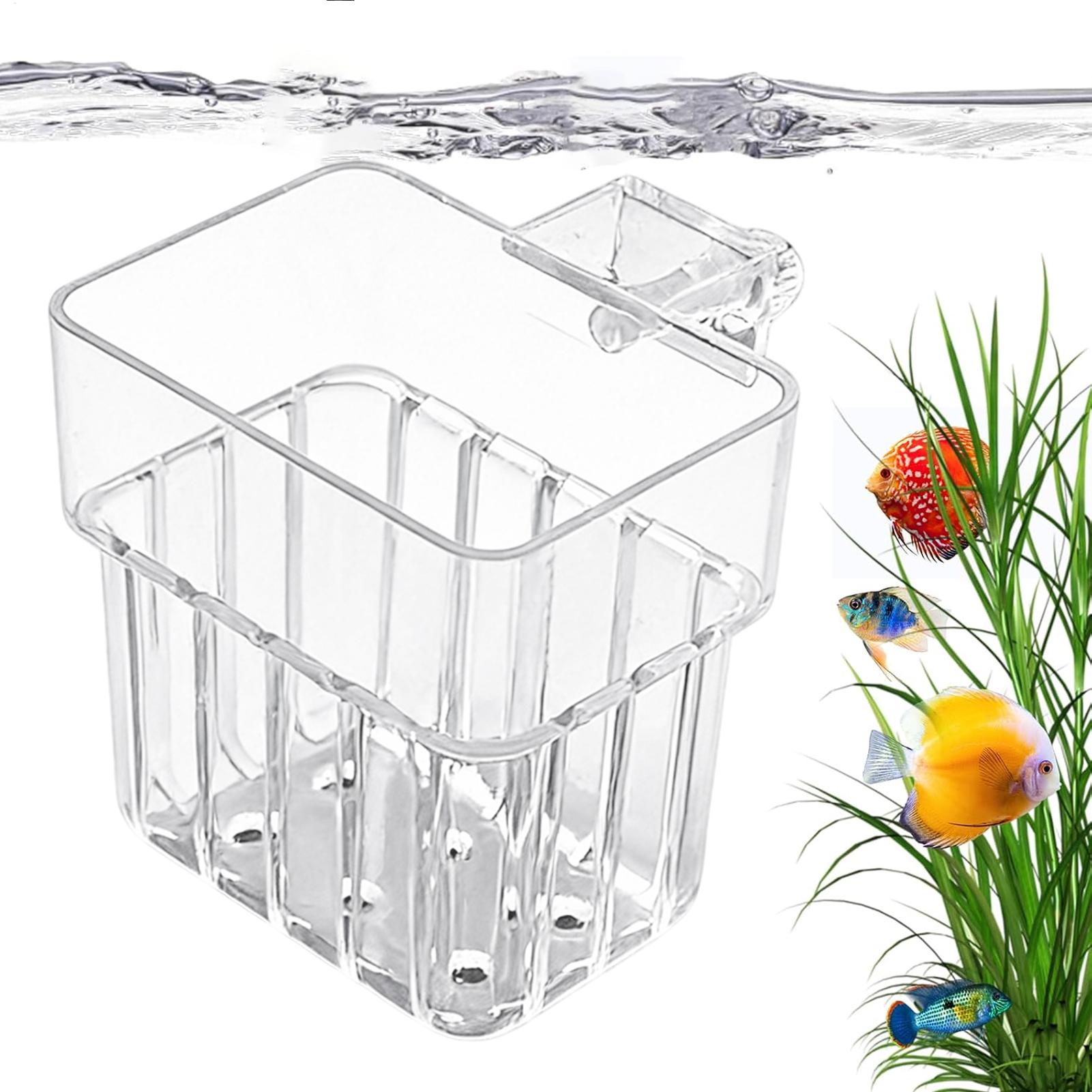 Transparent Hangable Aquarium  - đánh giá và giá Aquarium Plant Rings