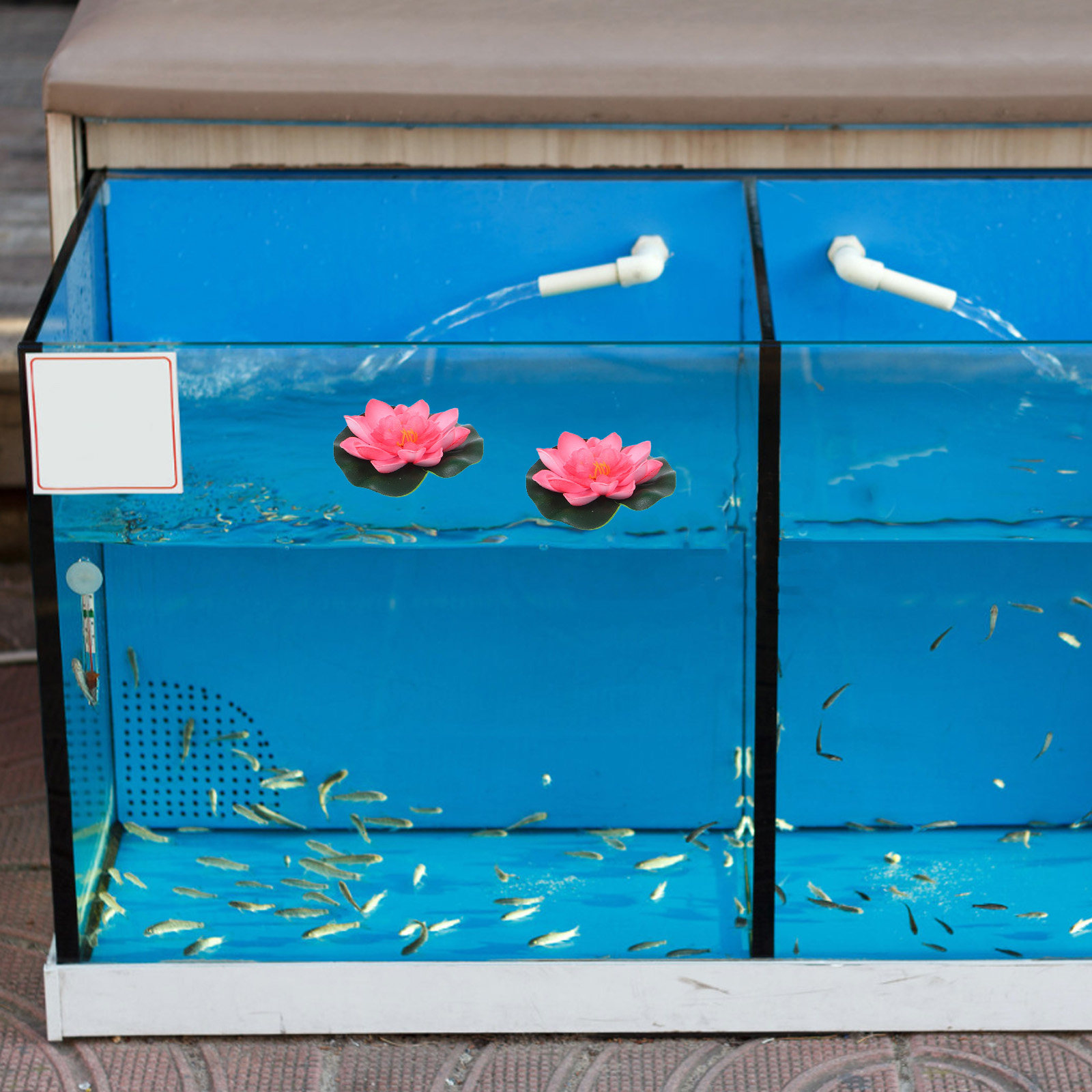12Pcs Artificial Floating Wate - đánh giá và giá Aquarium Plant Original