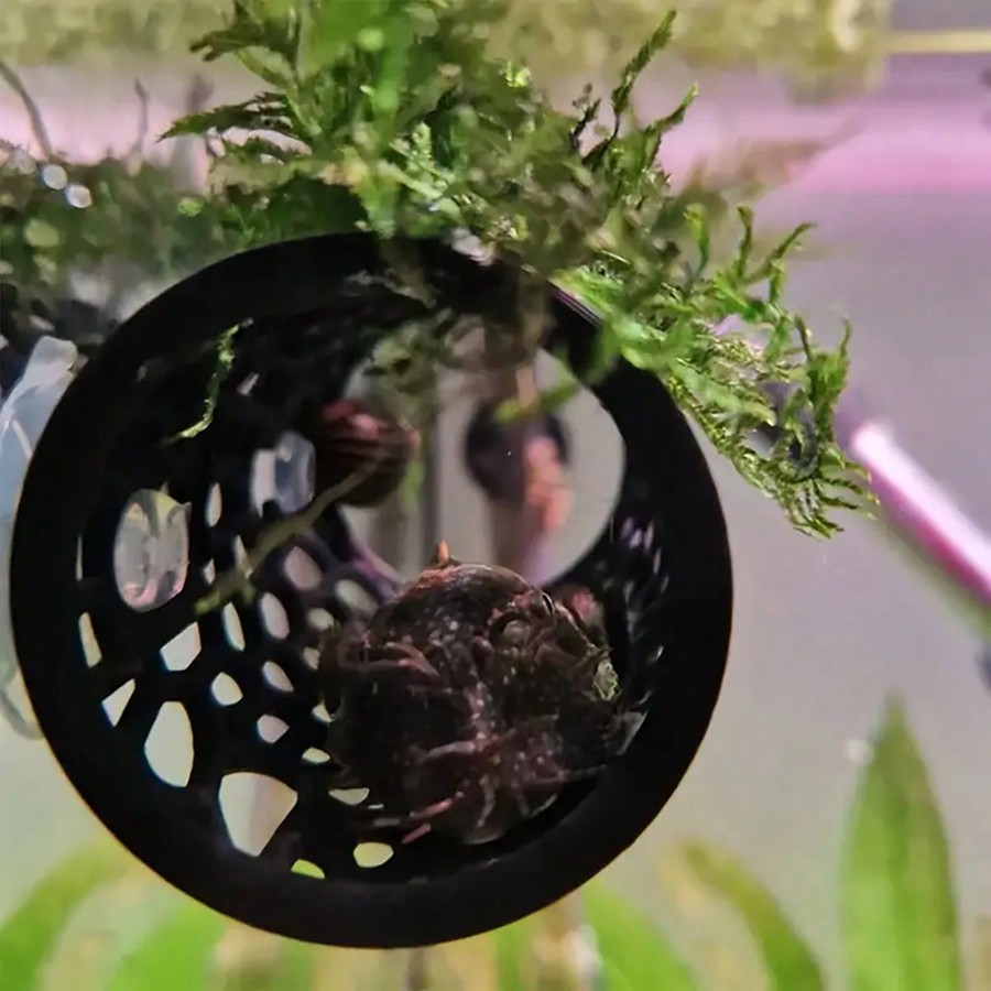 Aquarium Fish Hideout Black Ho - đánh giá và giá Aquasoil Substrate