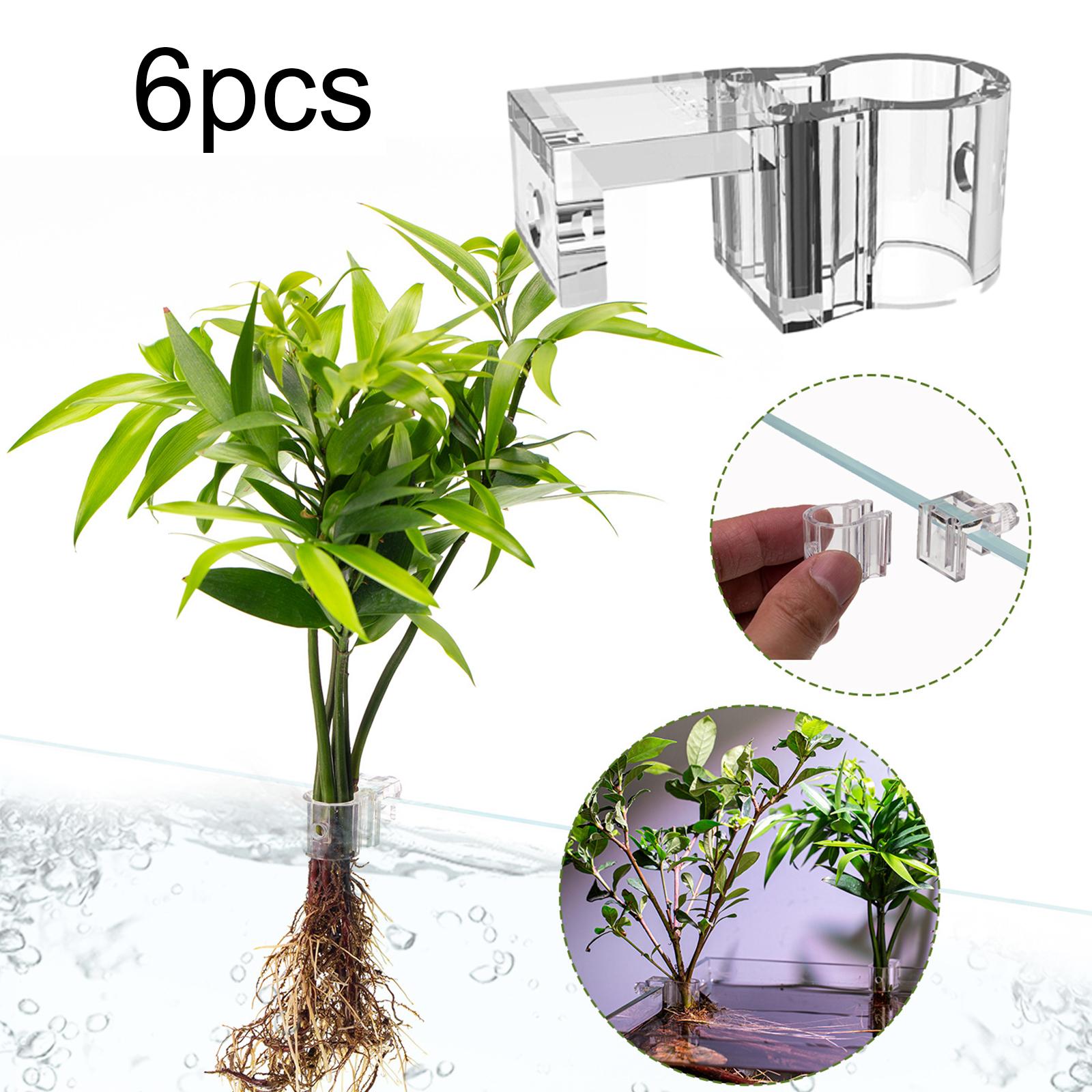 Transparent Aquarium Plant Hol - đánh giá và giá Aquarium Planted Set Up