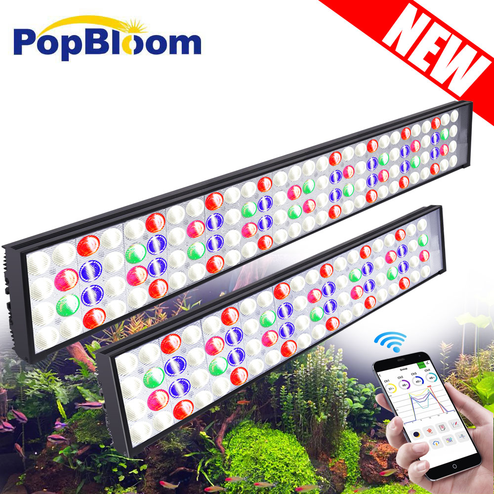 PopBloom H54 H75 WiFi Full Spe - đánh giá và giá Planted Aquarium Freshwater