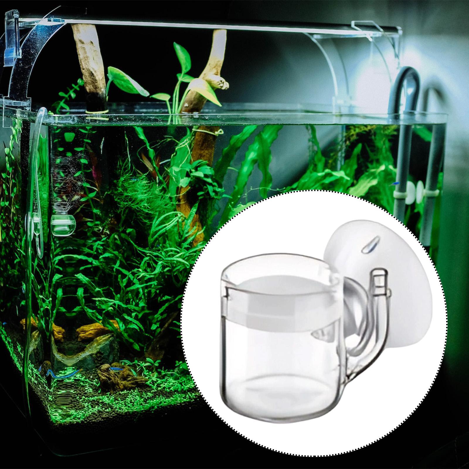 CO2 Aquarium Diffuser Glass Ma - đánh giá và giá Aquarium Planted Set Up