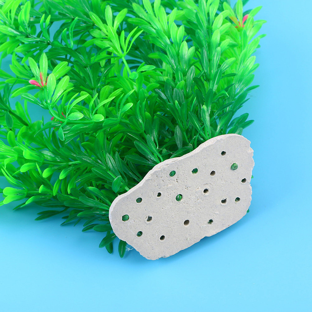 70Cm Plastic Aquarium Plants F - đánh giá và giá Non Planted Aquarium Fish