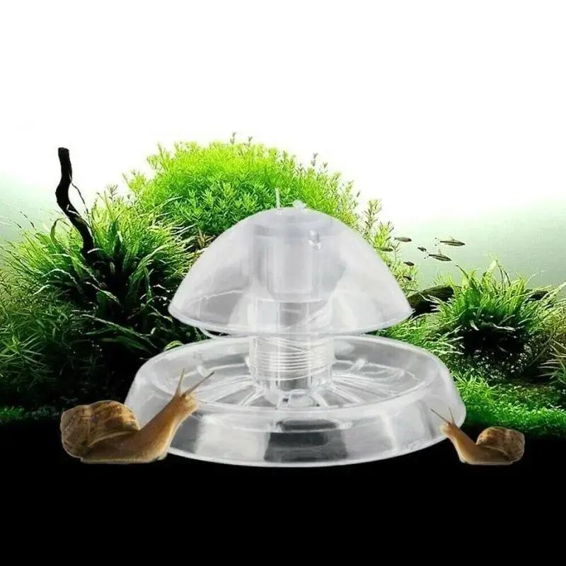 2026 New 6/8CM Clear Plastic S - đánh giá và giá Aquarium Planted Fish Tank