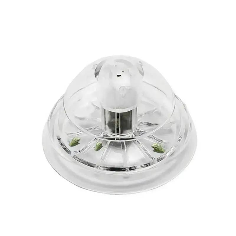 2026 New 6/8CM Clear Plastic S - đánh giá và giá Aquarium Planted Fish Tank