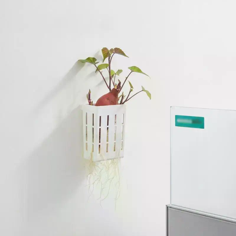 1Pcs Hydroponic Support Basket - đánh giá và giá Aquarium Plant Original