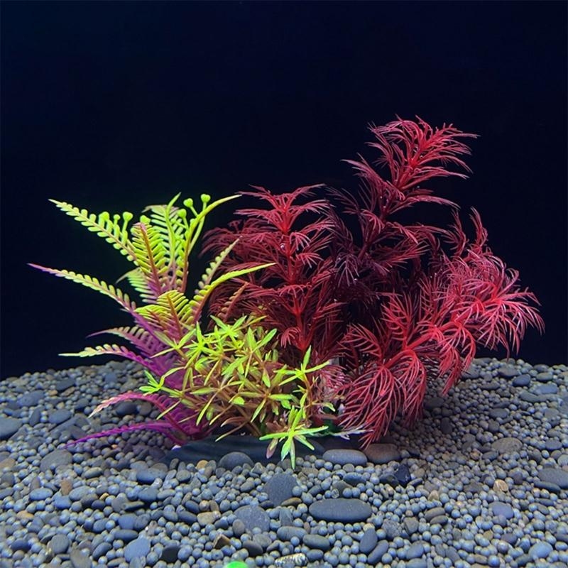 Nhân Tạo Trang Trí Bể Cá Vật C - đánh giá và giá Planted Aquarium For Sale