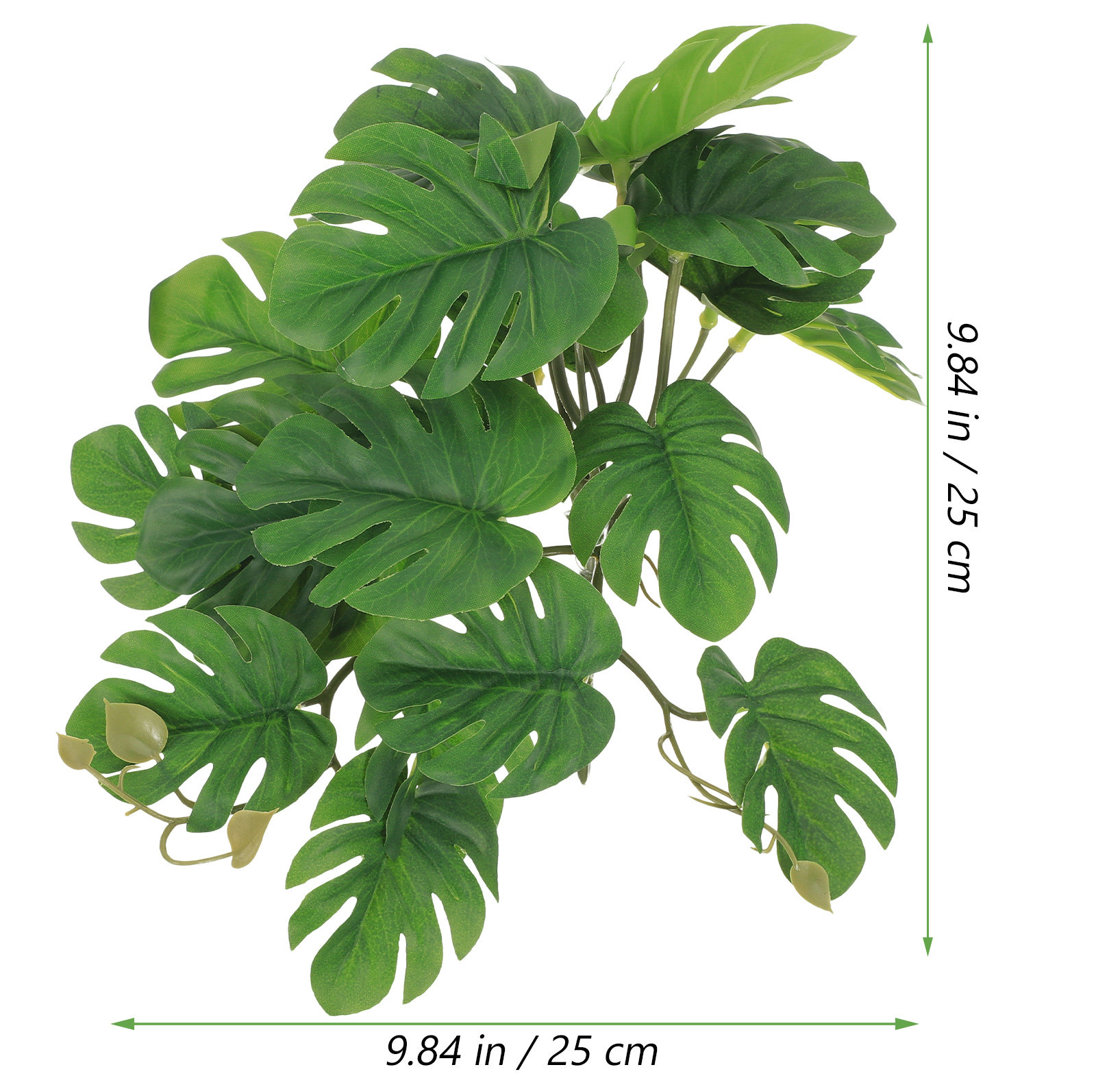 Safe Non Toxic Reptile Plants  - đánh giá và giá Non Planted Aquarium Fish