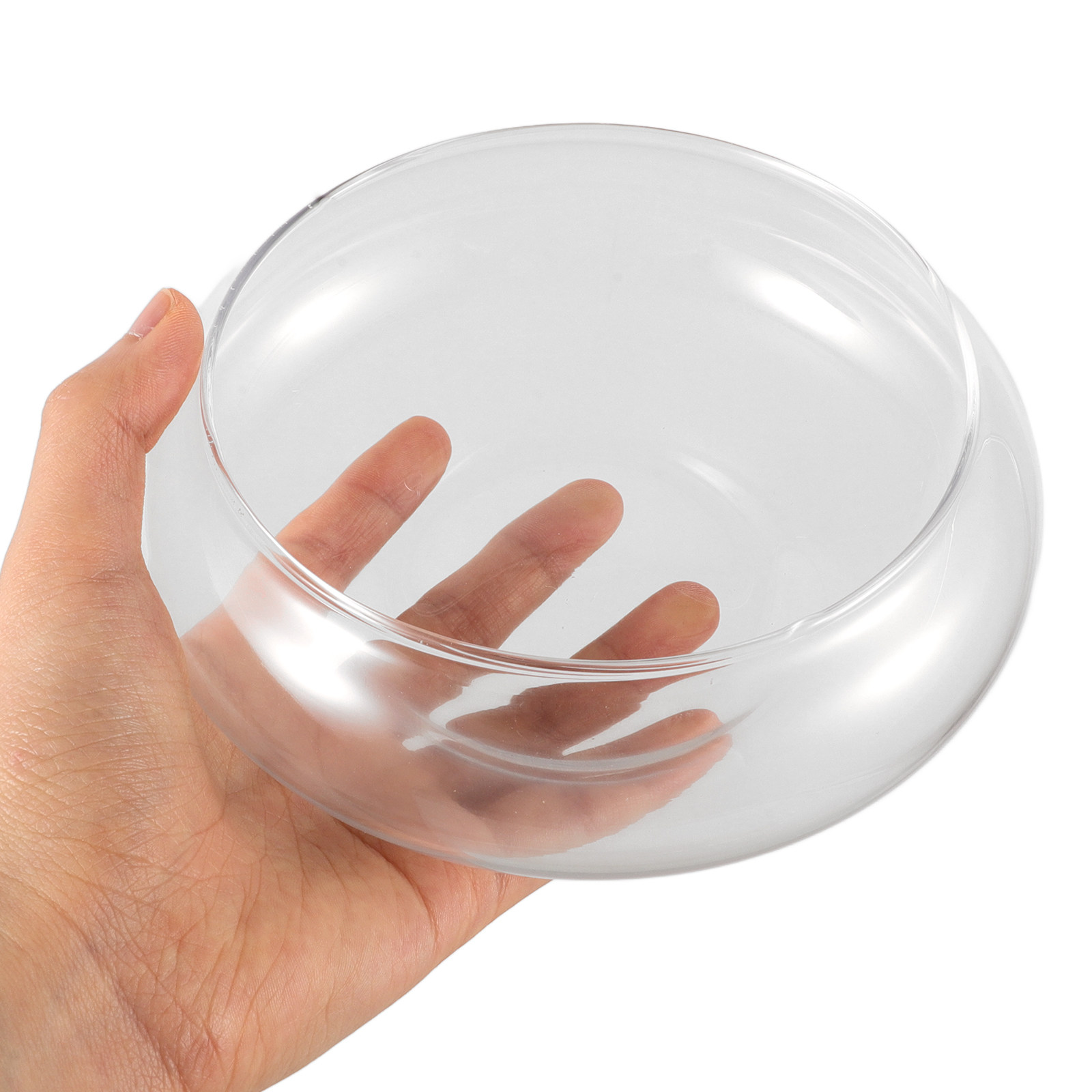 Clear Glass Fish Bowl Round De - đánh giá và giá Planted Aquarium Bowl