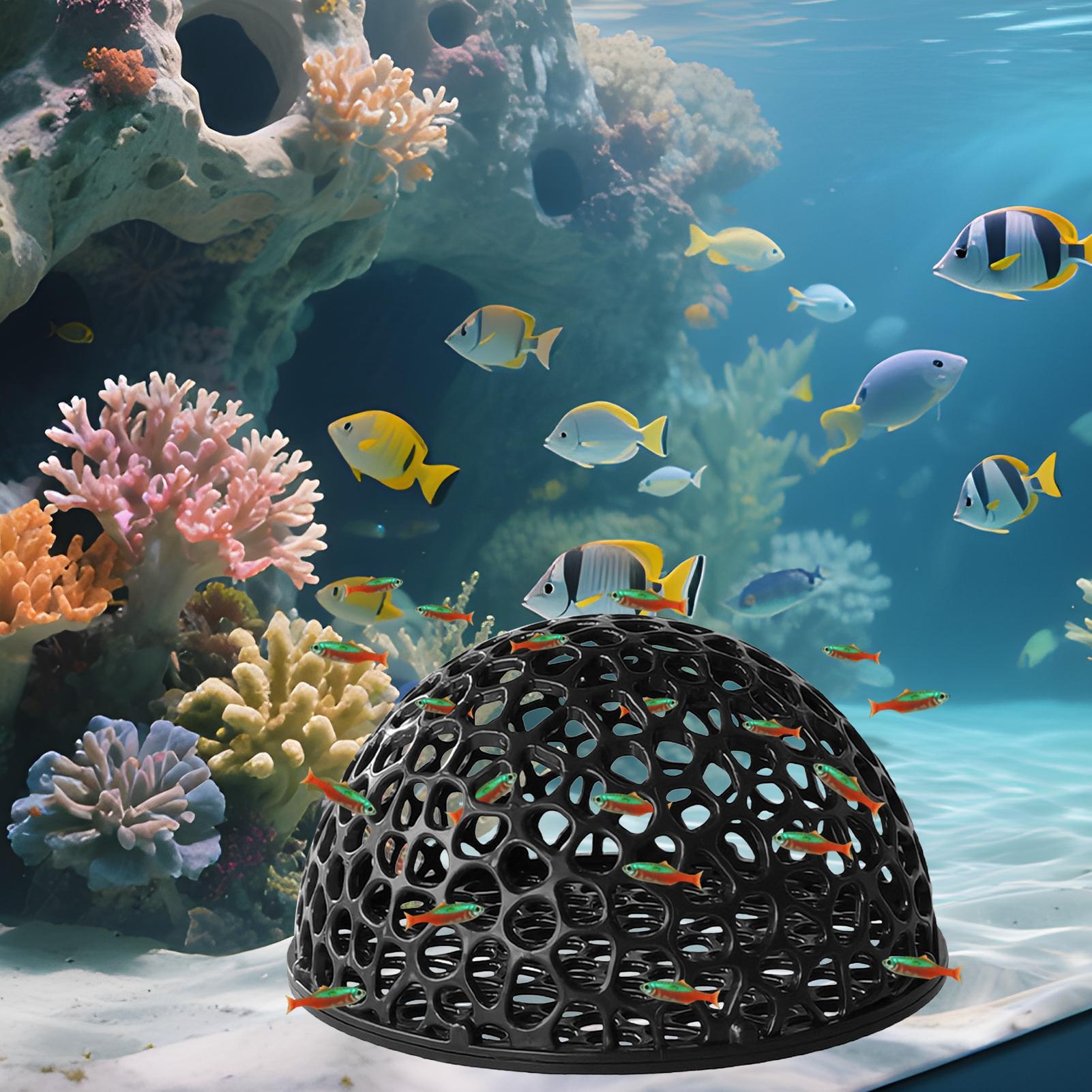 Aquarium Hiden Cave Shelter fo - đánh giá và giá Aquasoil Substrate