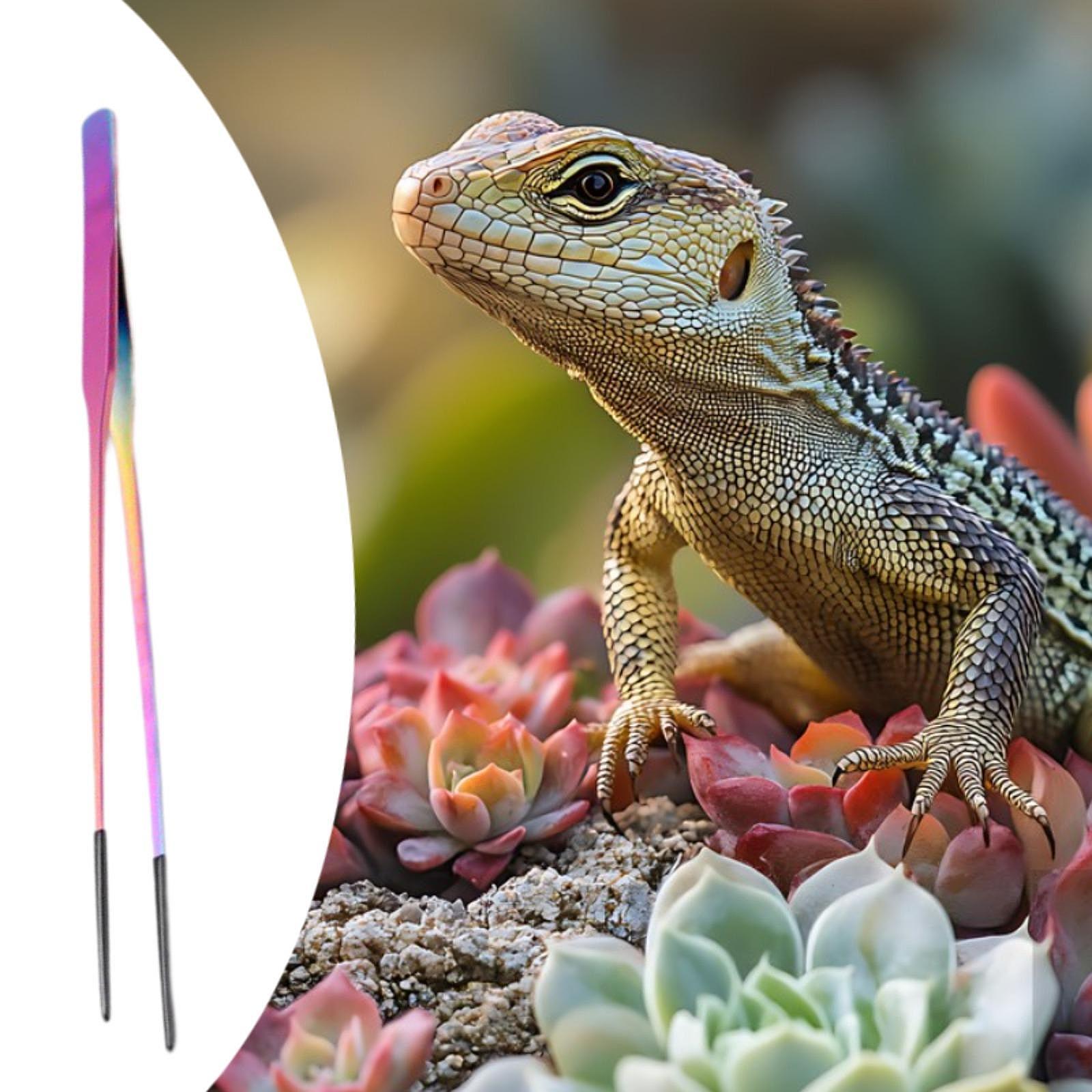 Reptile Feeding Tongs Soft Tip - đánh giá và giá Planted Aquarium Tips