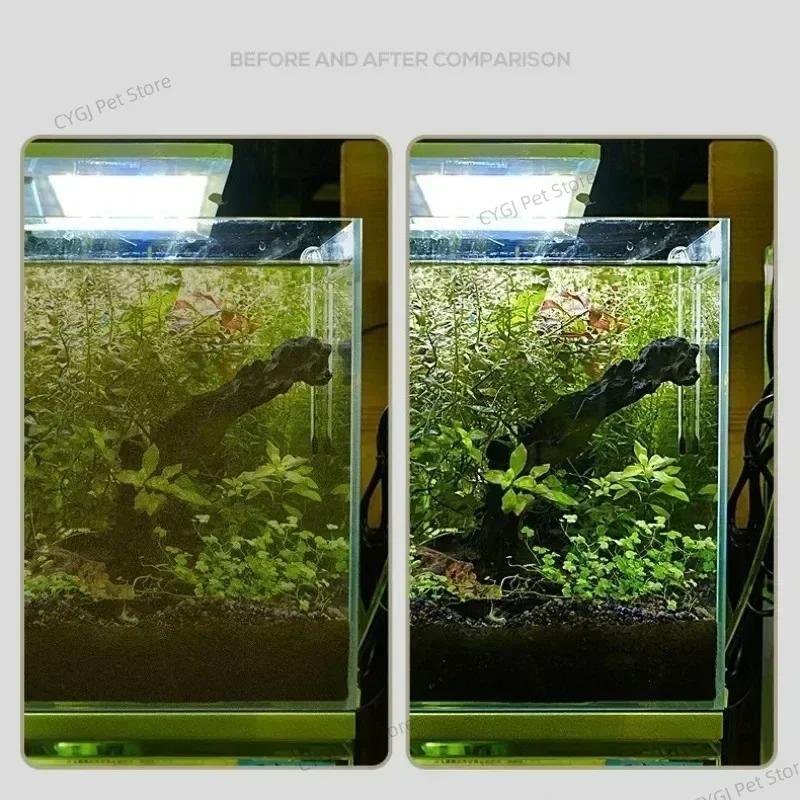 Fish Tank Cleaning Tool Flat S - đánh giá và giá Aquasoil Substrate