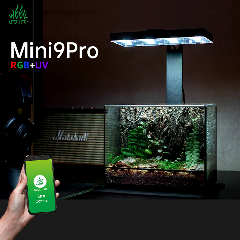 Hot Sale Mini9pro Nano Terrari - đánh giá và giá Planted Aquarium For Sale