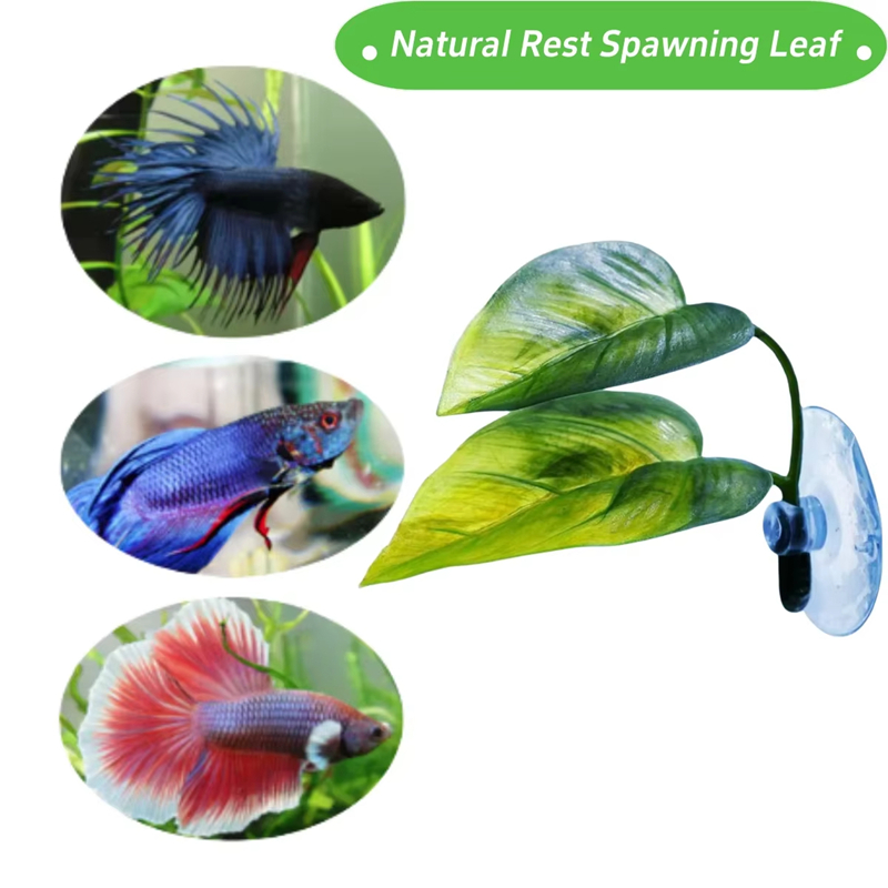 Aquarium Pet Supplies Decorati - đánh giá và giá Aquarium Planted Fish Tank