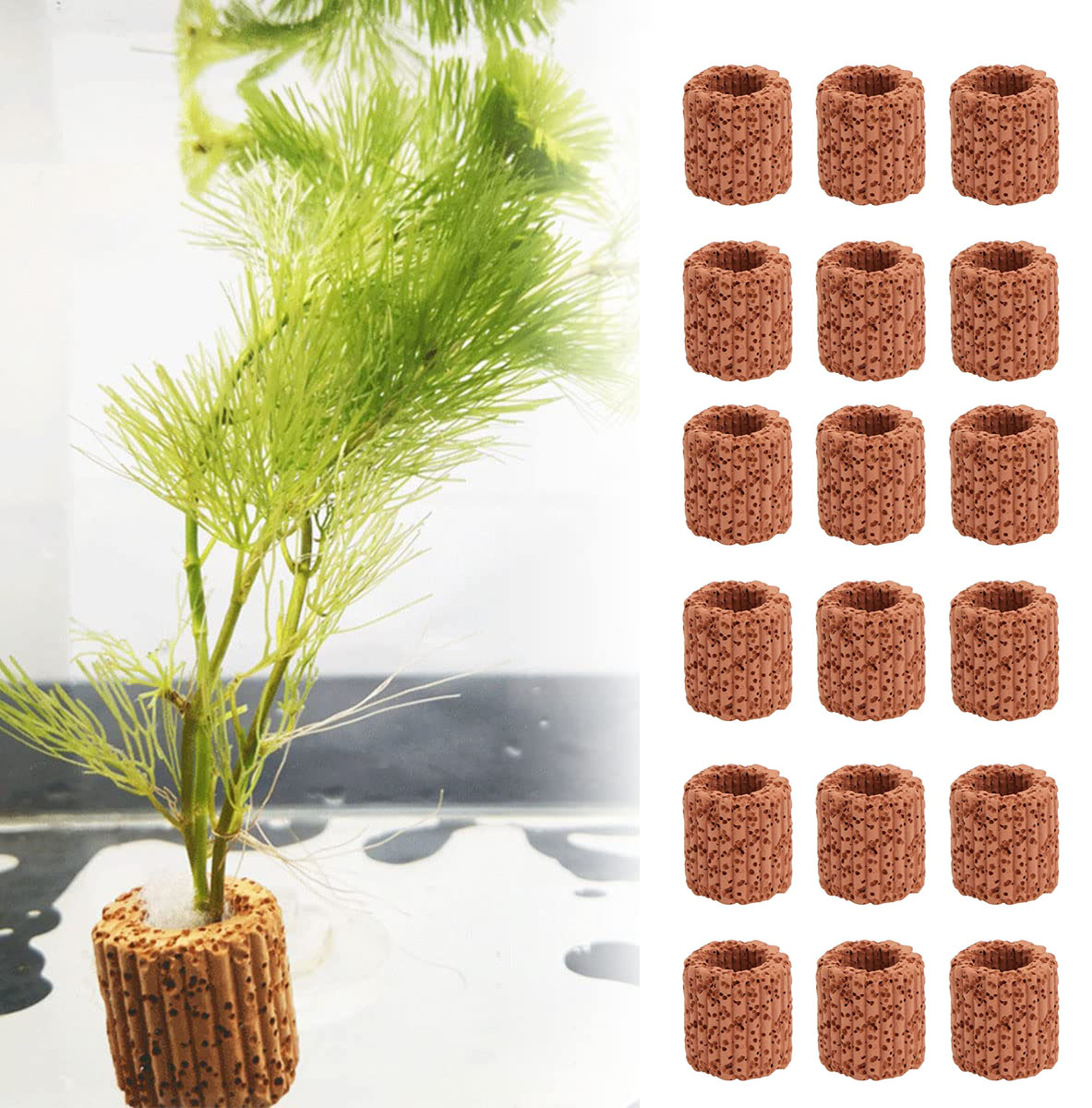 20 Cái/lốc Thủy Sinh Nước Nhẫn - đánh giá và giá Aquarium Plant Rings