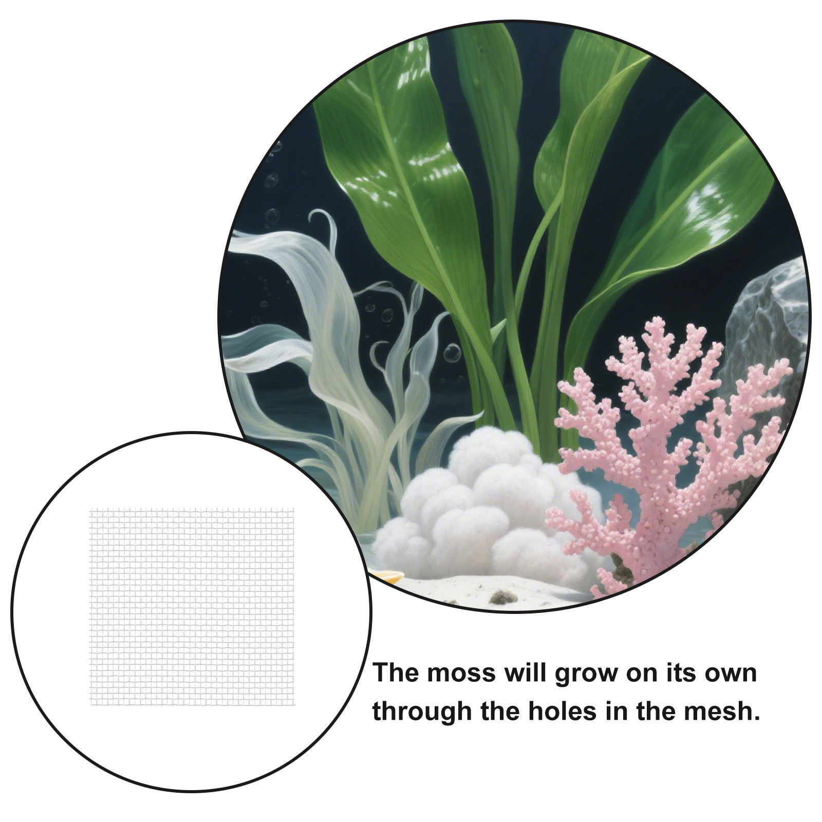 12Pcs Stainless Steel Wire Mes - đánh giá và giá Aquarium Planted Set Up