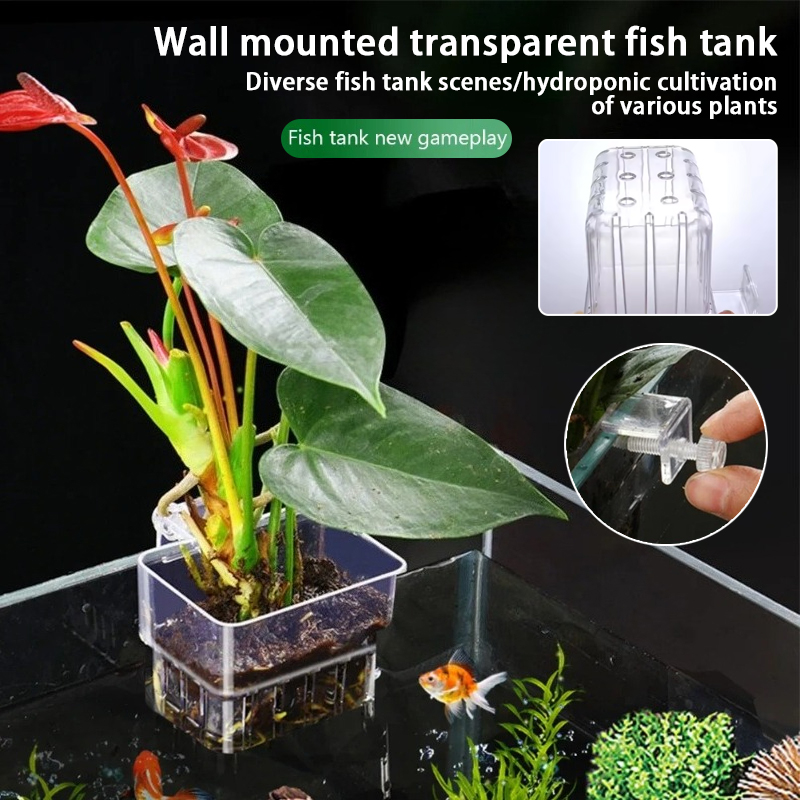 Aquarium Hanging Planter Cups  - đánh giá và giá Aquarium Plant Rings