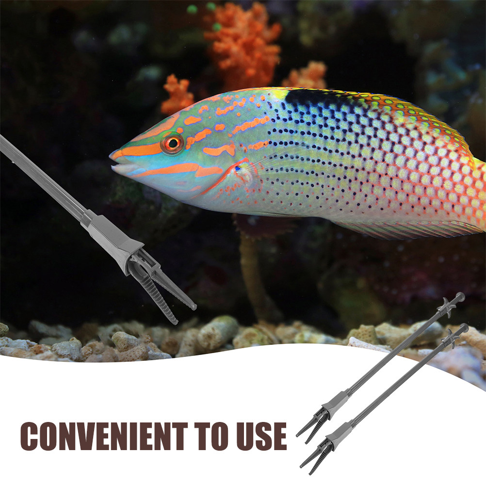 2Pcs Aquarium Waterweed Tweeze - đánh giá và giá Planted Aquarium Tips