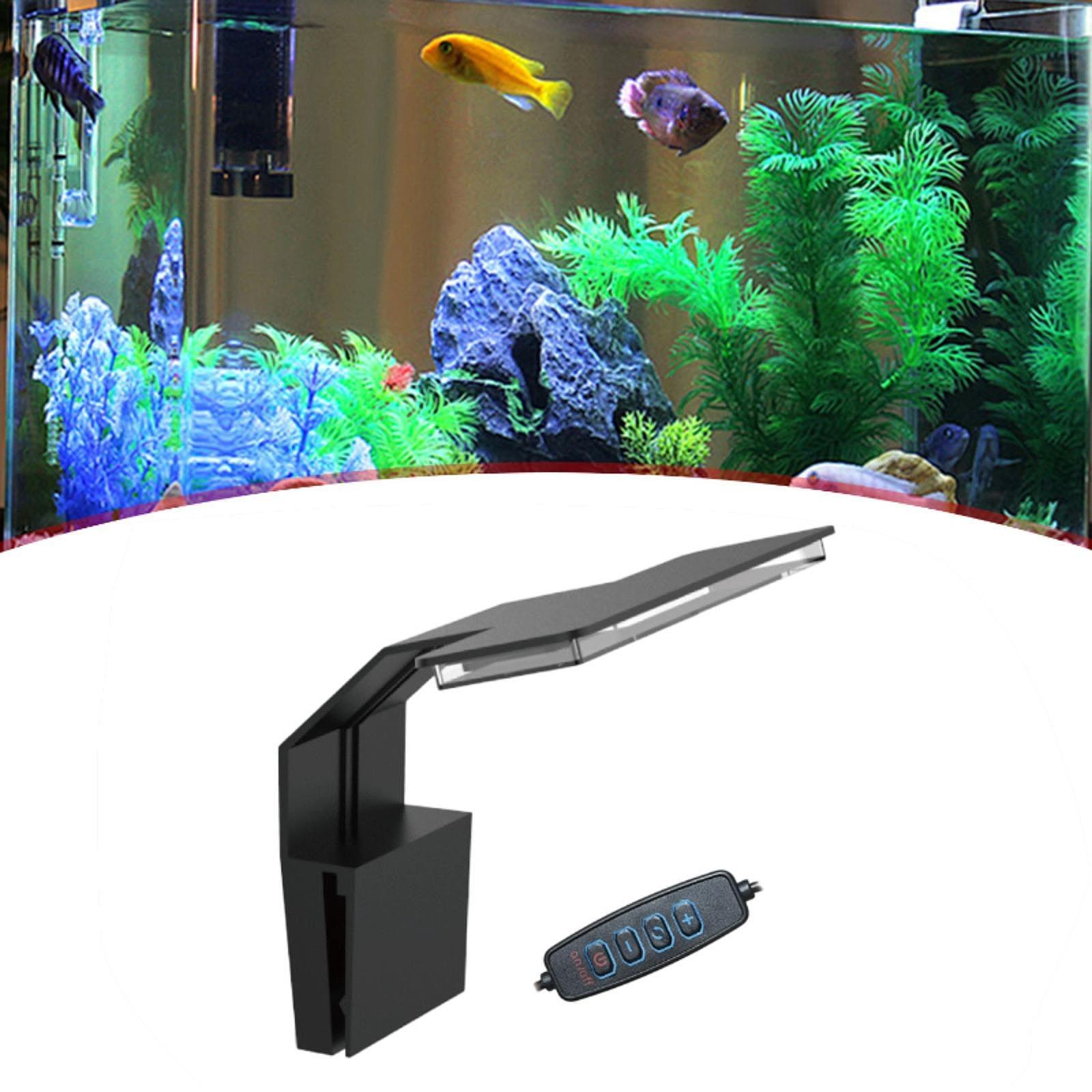 Aquarium LED Light Full Spectr - đánh giá và giá Aquarium Planted Set Up