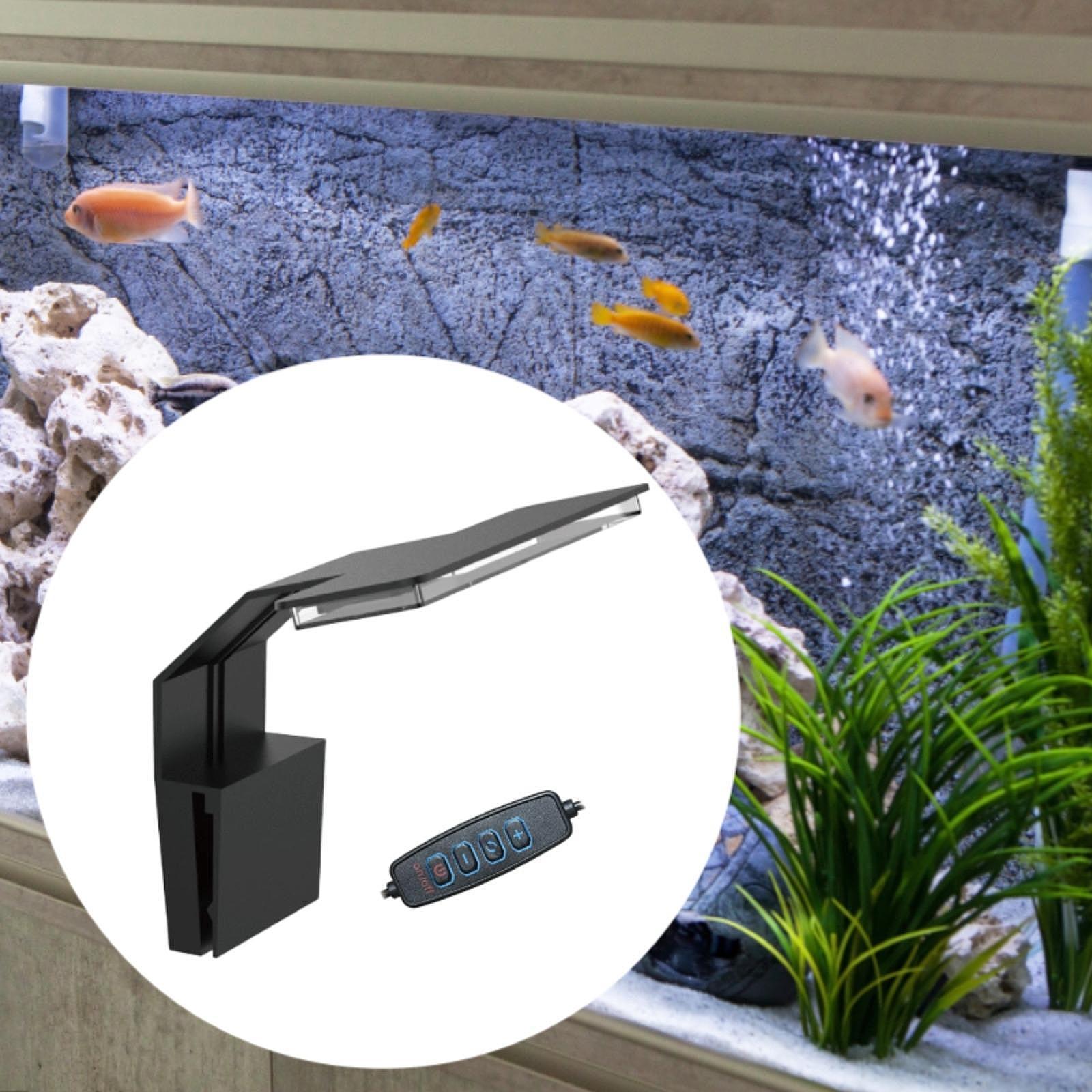 Aquarium LED Light Full Spectr - đánh giá và giá Aquarium Planted Set Up