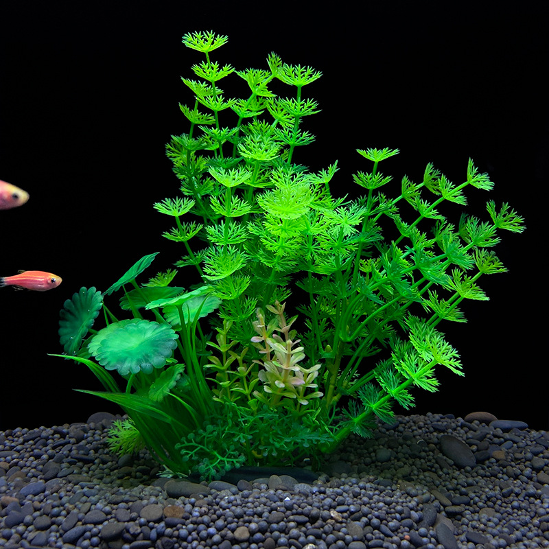 1pc Realistic Artificial Water - đánh giá và giá Planted Aquarium Bowl