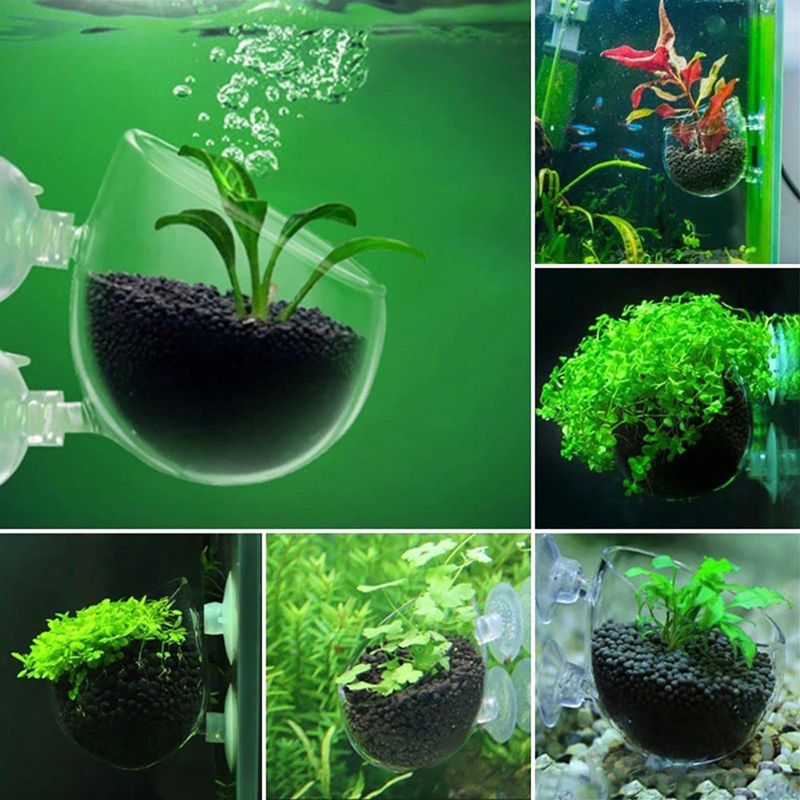Aquarium Decoration Plant Cup  - đánh giá và giá Aquasoil Substrate