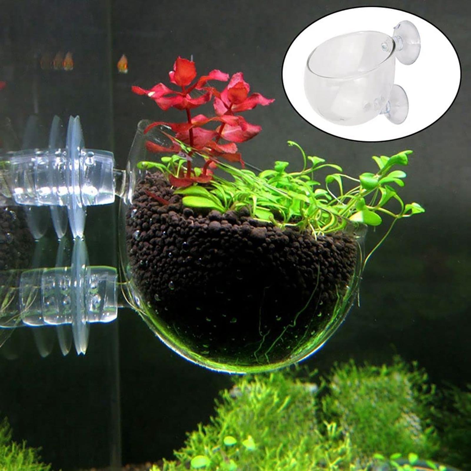 Aquarium Decoration Plant Cup  - đánh giá và giá Aquasoil Substrate