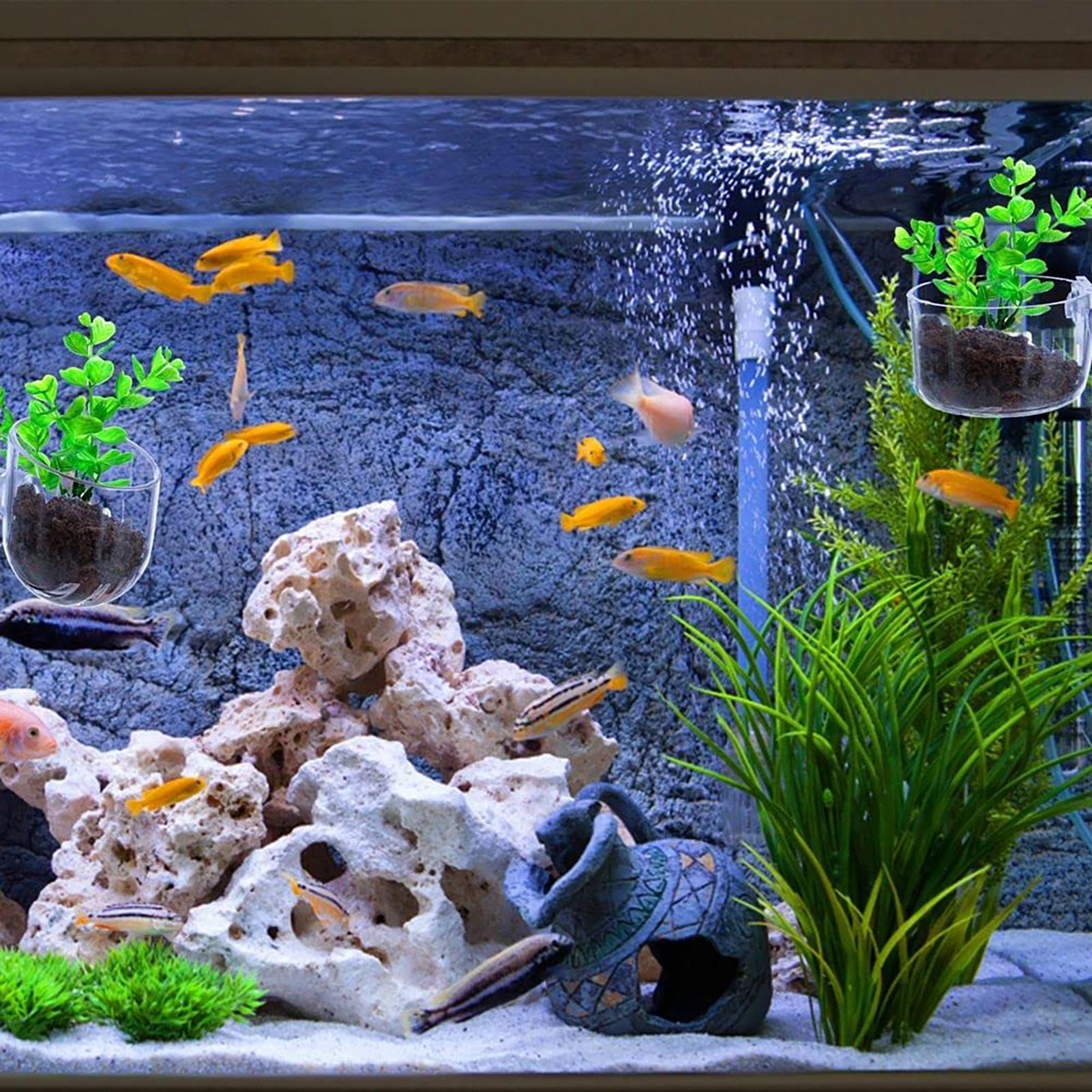 Aquarium Decoration Plant Cup  - đánh giá và giá Aquasoil Substrate