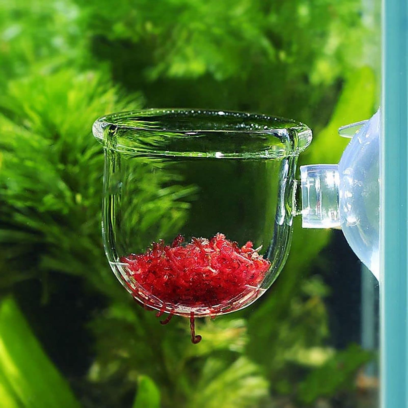 Aquarium Decoration Plant Cup  - đánh giá và giá Aquasoil Substrate