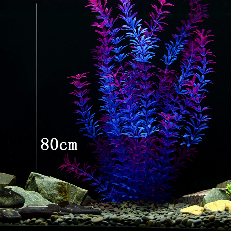100Cm Thực Vật Nhiệt Đới Lớn N - đánh giá và giá Aquarium Planted Fish Tank