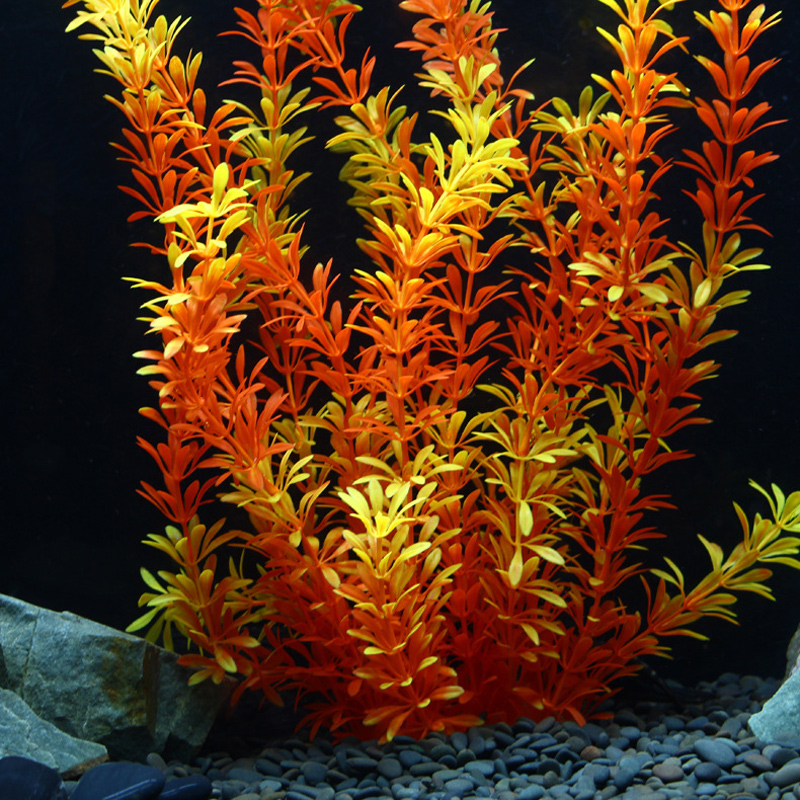100Cm Thực Vật Nhiệt Đới Lớn N - đánh giá và giá Aquarium Planted Fish Tank