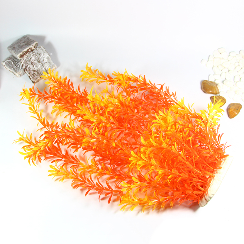 100Cm Thực Vật Nhiệt Đới Lớn N - đánh giá và giá Aquarium Planted Fish Tank