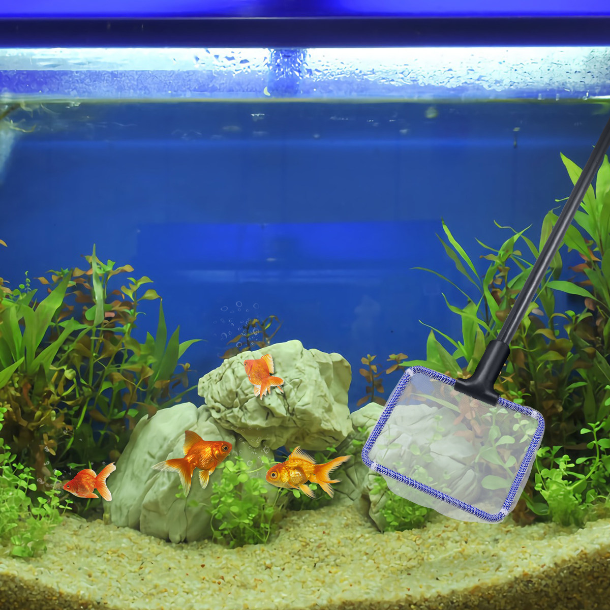 Aquarium Cleaning Kit 5 in 1 F - đánh giá và giá Planted Aquarium Cleaning Kit