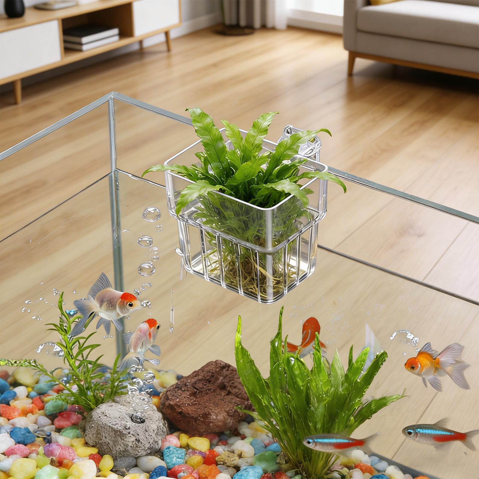 Transparent Hangable Aquarium  - đánh giá và giá Aquasoil Substrate