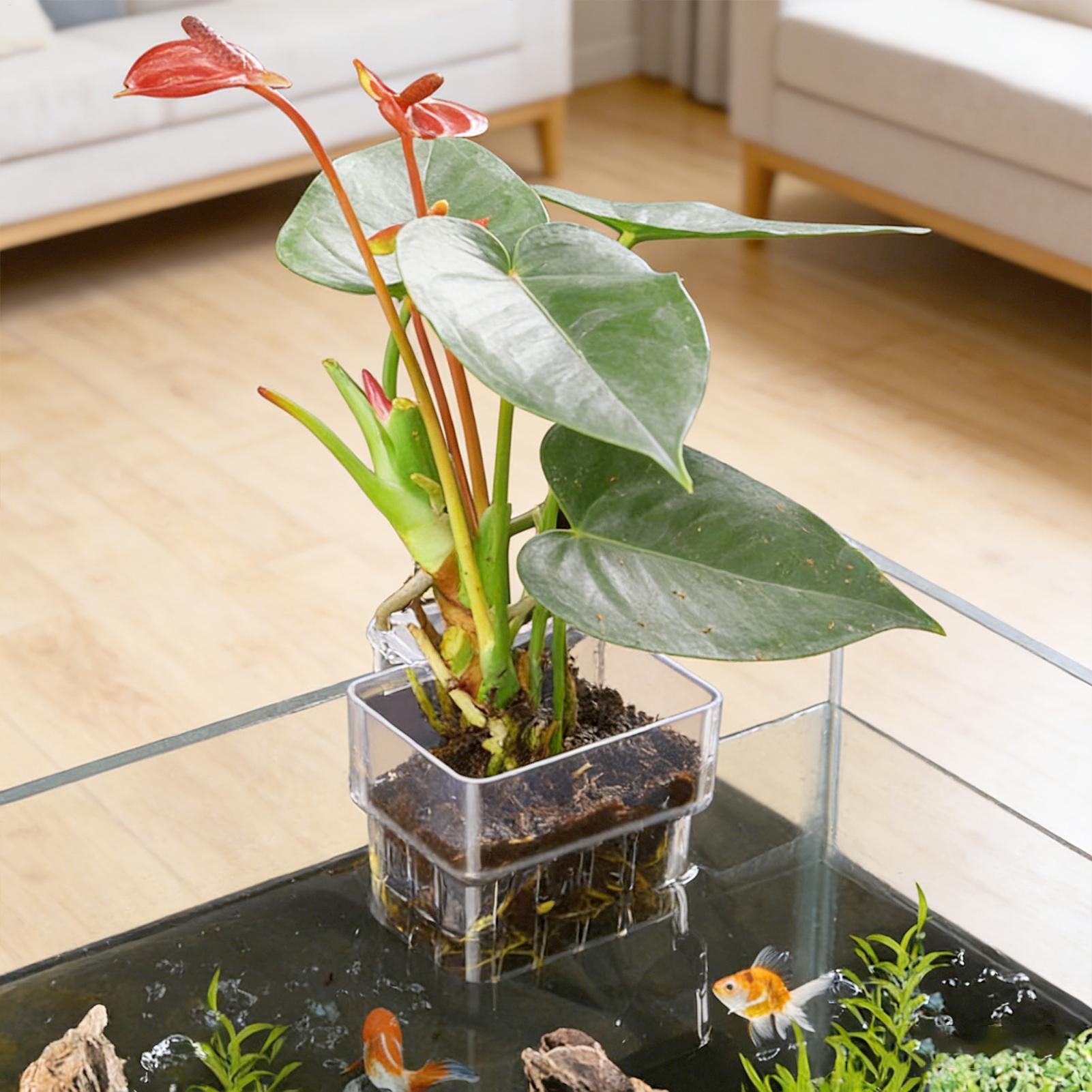 Transparent Hangable Aquarium  - đánh giá và giá Aquasoil Substrate