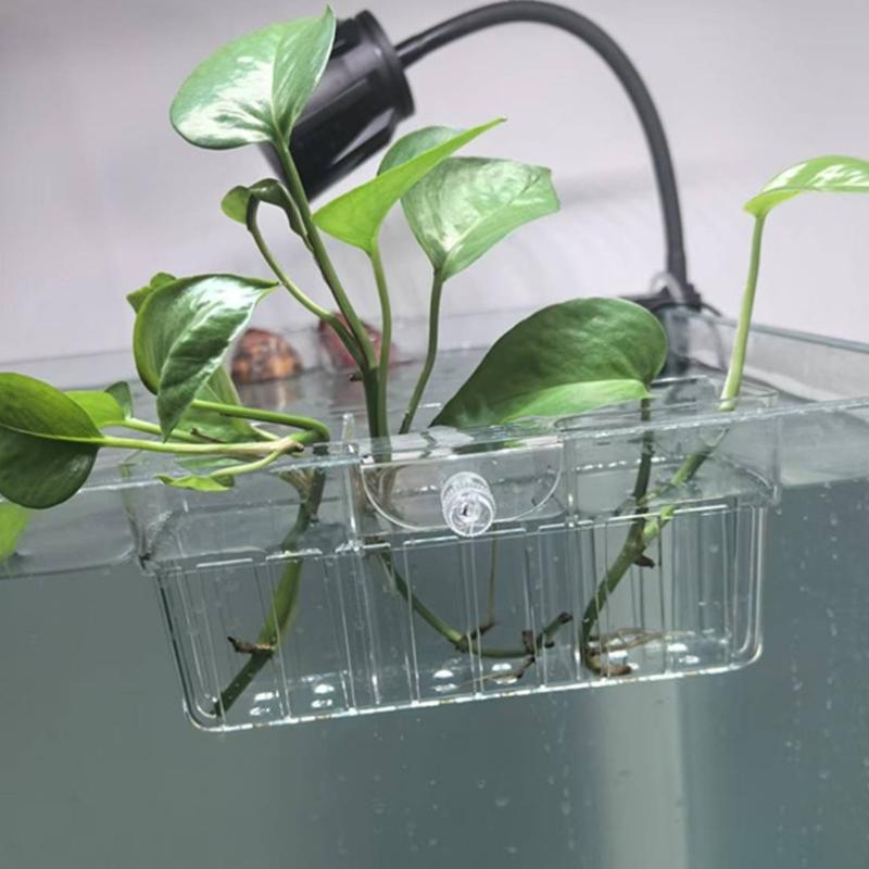 Hydroponic Plant Basket Food G - đánh giá và giá Aquarium Plant Original