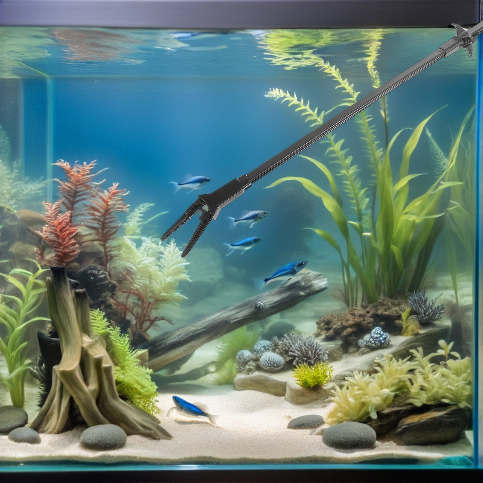 3Pcs Long Aquarium Tweezers Pl - đánh giá và giá Planted Aquarium Tips