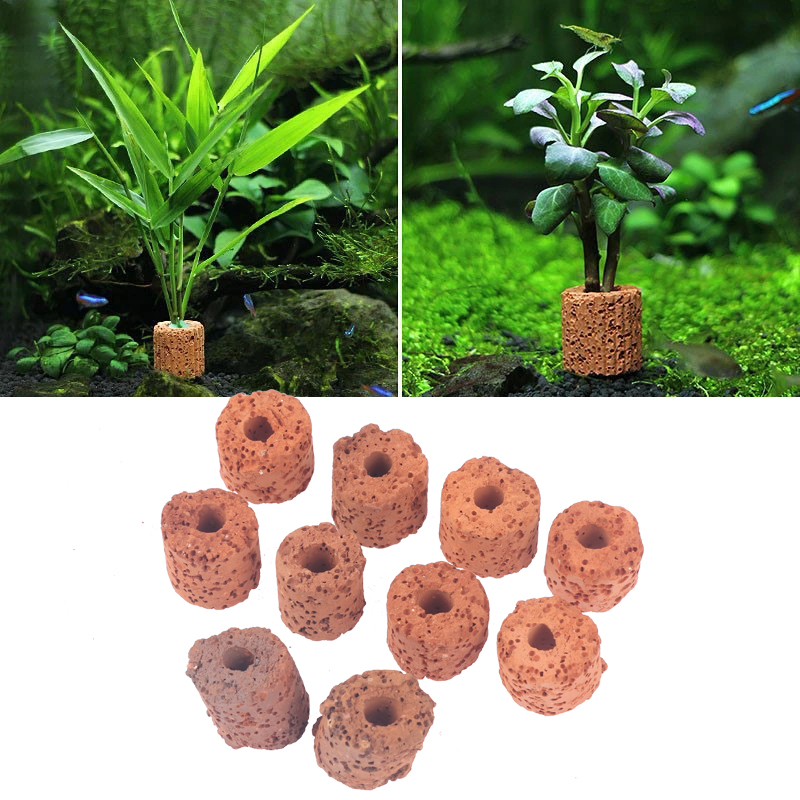 10Pcs Mini Aquatic Plant Ring  - đánh giá và giá Aquarium Planted Set Up