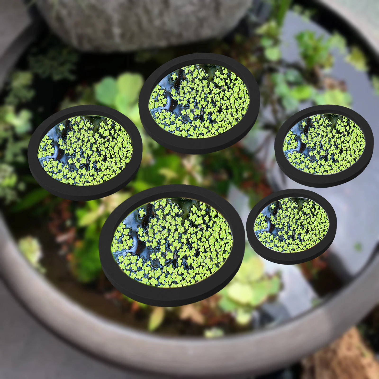 5Pcs EVA Fish Feeding Ring Aqu - đánh giá và giá Aquarium Plant Original