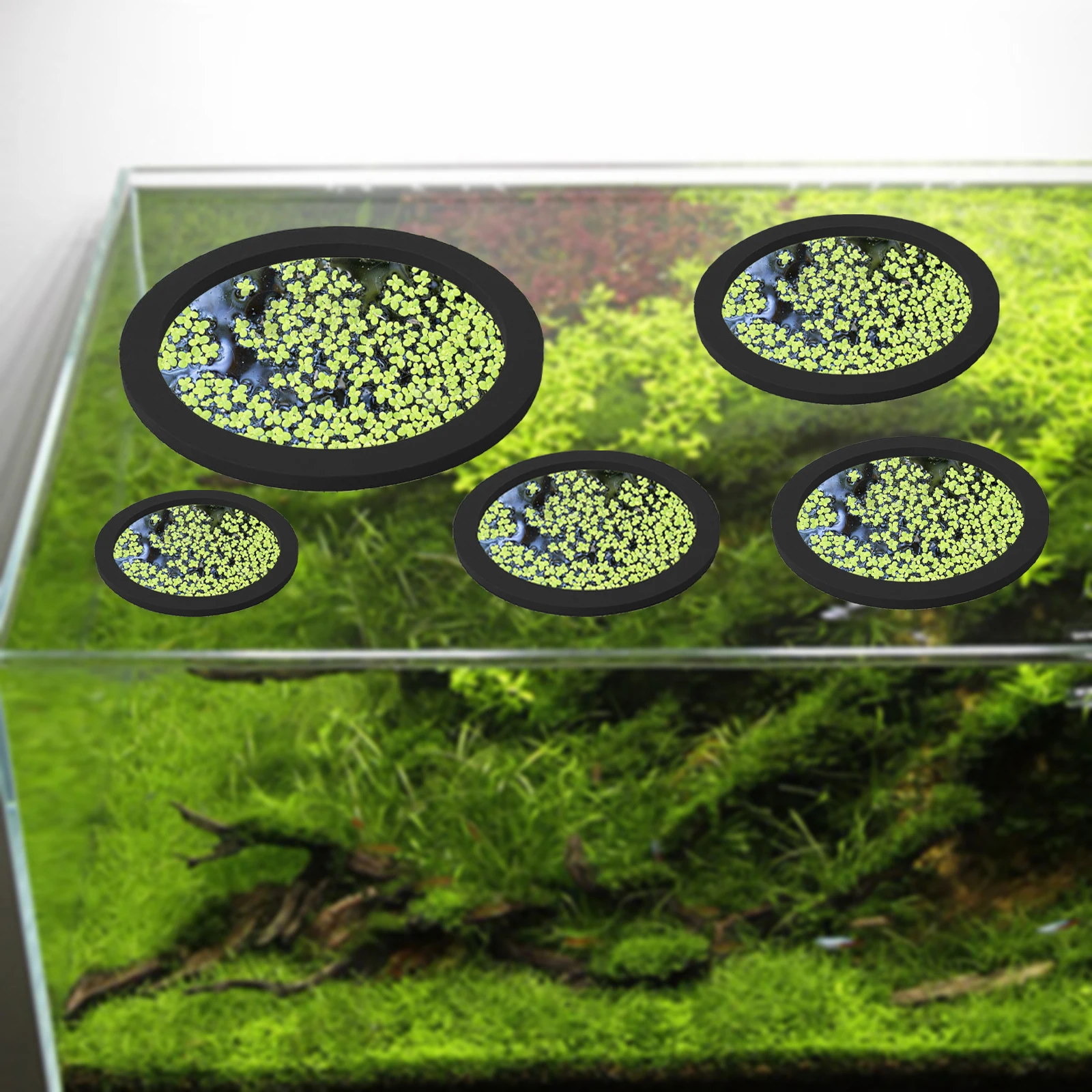5Pcs EVA Fish Feeding Ring Aqu - đánh giá và giá Aquarium Plant Original