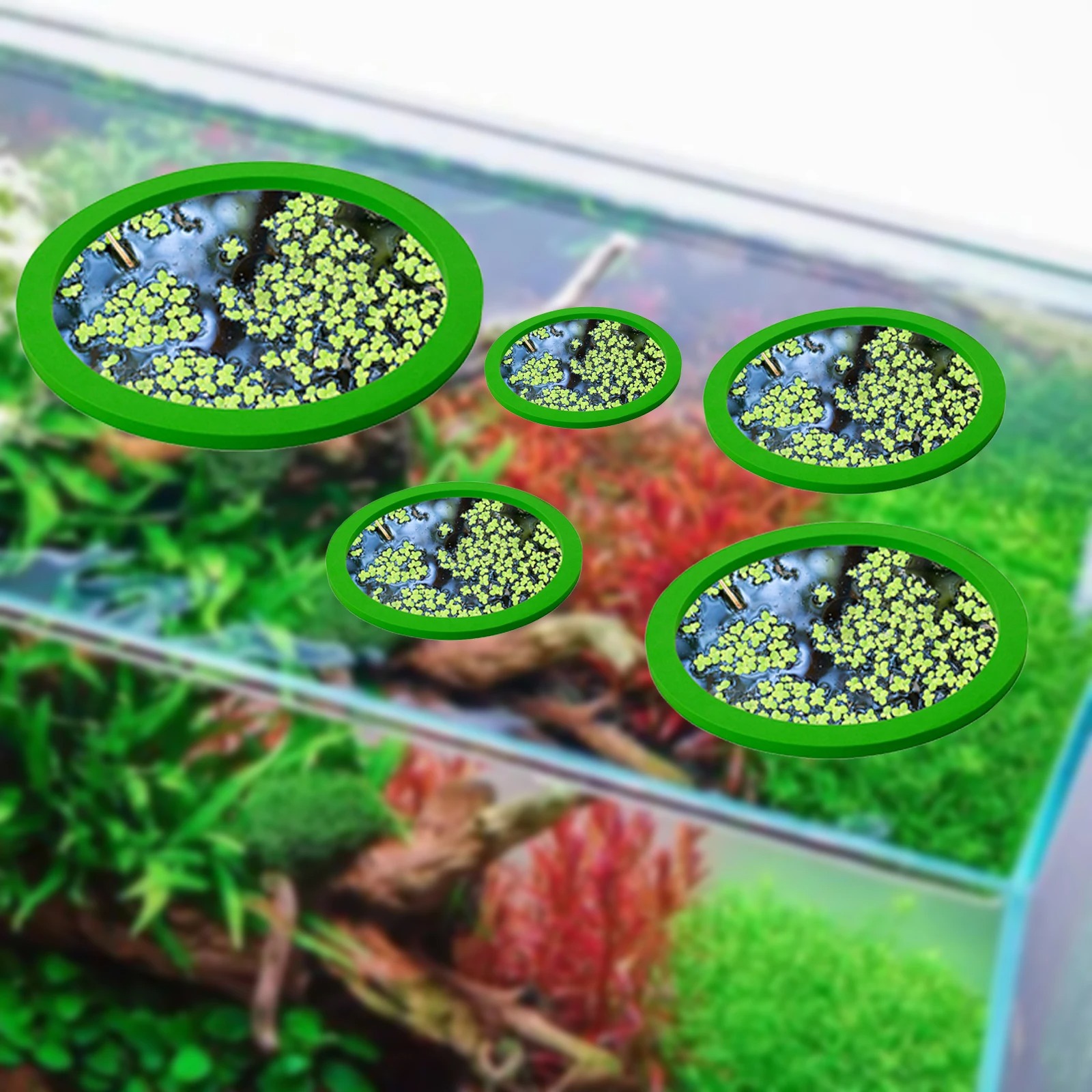 5Pcs EVA Fish Feeding Ring Aqu - đánh giá và giá Aquarium Plant Original