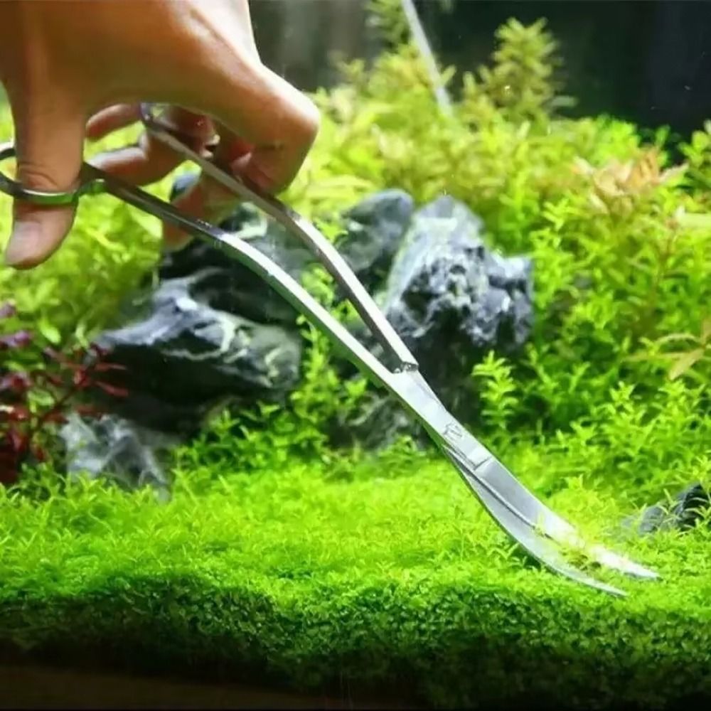 1Pcs Stainless Steel Aquarium  - đánh giá và giá Aquasoil Substrate