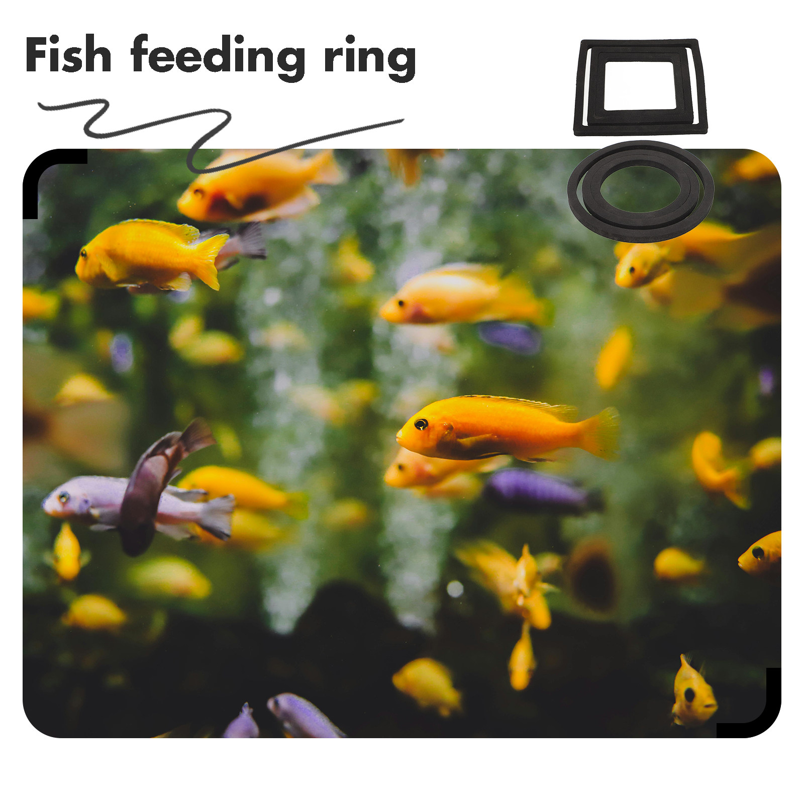 6Pcs Fish Feeding Rings Floati - đánh giá và giá Aquarium Plant Rings