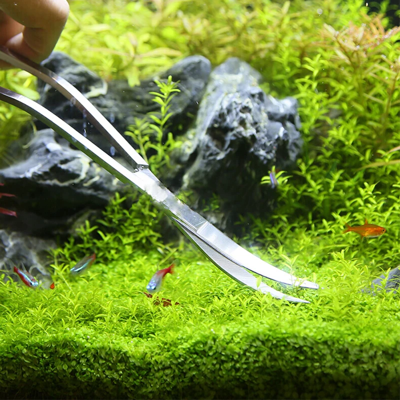 Aquarium Scissor Tools Fish Ta - đánh giá và giá Aquasoil Substrate
